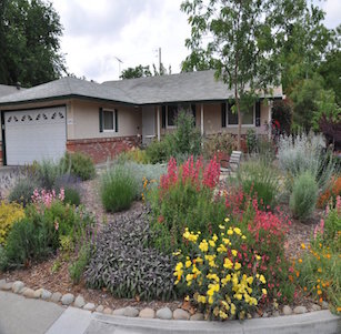 Color Display Garden